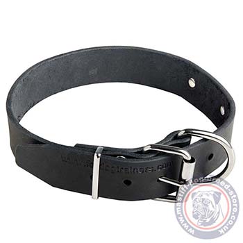 Daily Bullmastiff Leather Dog Collar