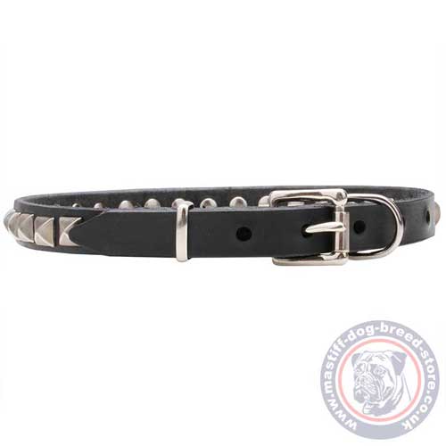 Studded Dog Collars for Mastiff Puppies for Sale UK