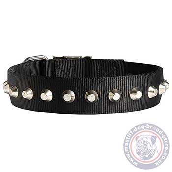 Buy sparkle Dog Collars for Big Mastiff Dog Breed