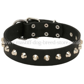 Strong Leather Dog Collar for Neapolitan Mastiff