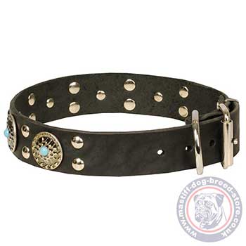 Luxury Dog Collar Designs