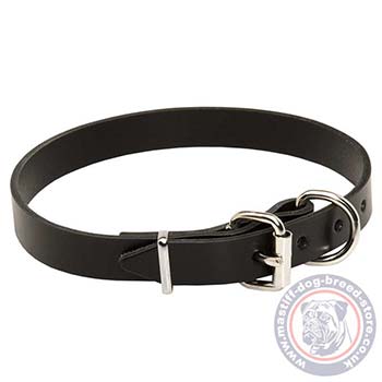 Leather Dog Collar for Mastiff Dogs