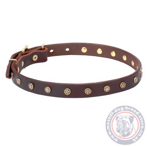 Leather Collars for Mastiff Puppies