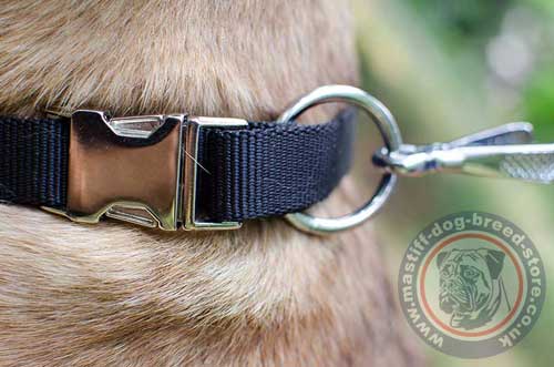 Comfortable Dog Collar with Quick Release Buckle