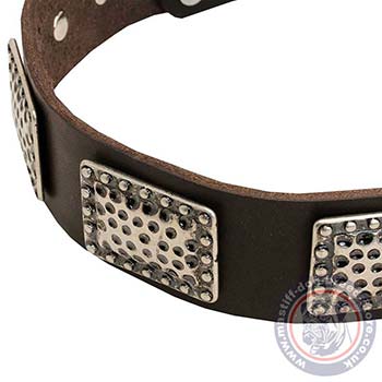 Handmade Dog Collar for Mastiff Walking
