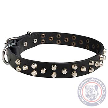 Studded Leather Dog Collar for Bullmastiff
