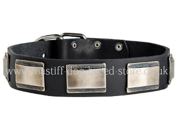 Handmade Leather Dog Collars UK