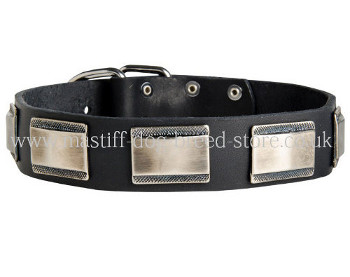 Large Breed Dog Collars UK