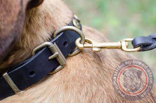 Designer Leather Dog Collar with Buckle