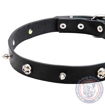 Skull Studded Dog Collar for Mastiff Walking