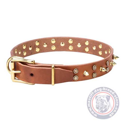 Mastiff Dog Collar Designs