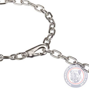 Mastiff Chain Collar with Lock