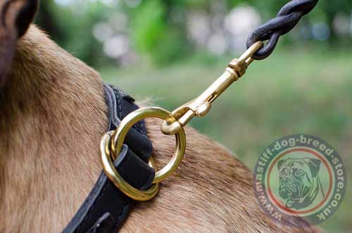 Dog Choker Collar of Two Ply Leather