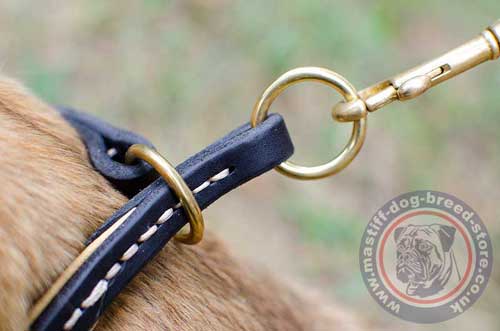 Dog Collar Choker