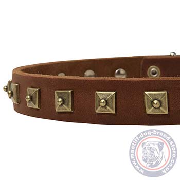 Leather Collar for Dog De Bordeaux