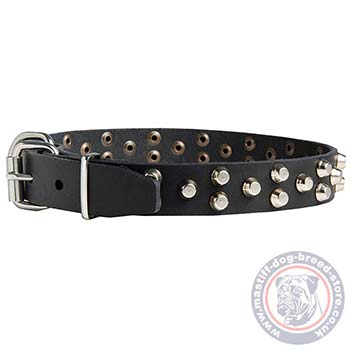 Dog Collar Metal Buckle