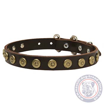 Fashion Dog Buckle Collar