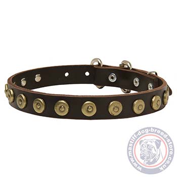 Fashion Dog Buckle Collar