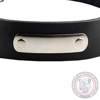 Bullmastiff Leather Dog Collar with ID