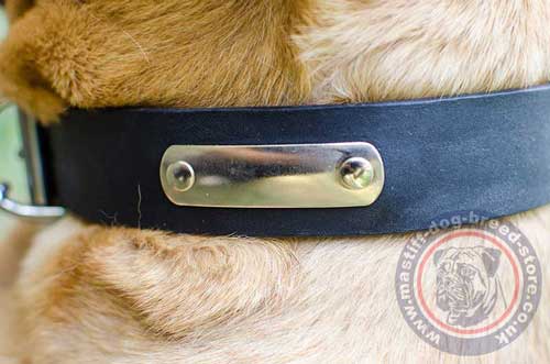 Dog Collar with ID for Engraving Owner's Contact Info