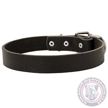 Walking Leather Dog Collar