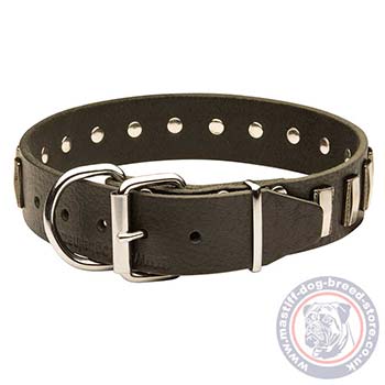 Luxury Leather Dog Collar