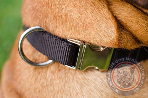 Dog Nylon Collar