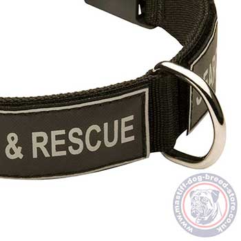 Dog Training Collar for Mastiff Breeds