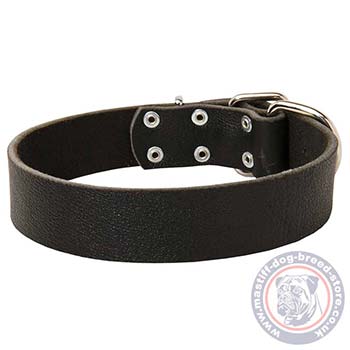 Neapolitan Mastiff Wide Dog Collar