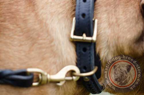 2 Ply Leather Dog Collar