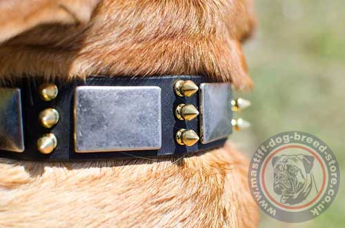 Handmade Dog Collars UK