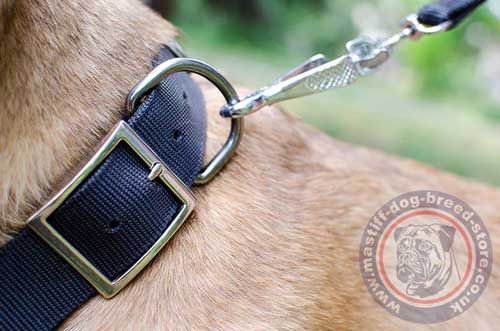 Double Layer Nylon Dog Collar for Italian Mastiff Dog Training