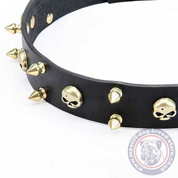 Mastiff Collars UK