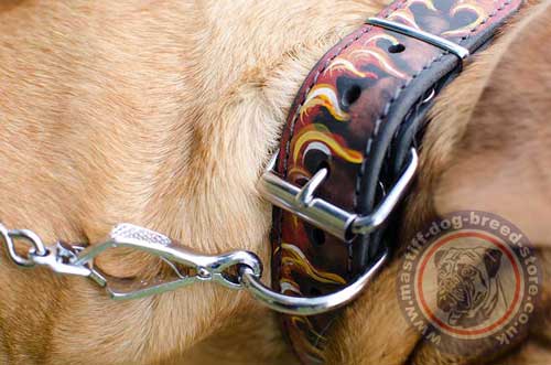 Painted Leather Dog Collar