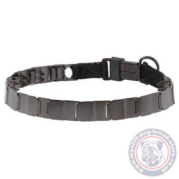 Extra Large Dog Collar Mastiff Size