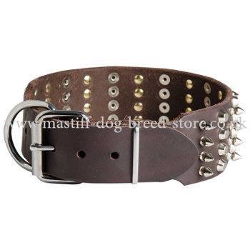 Extra Wide Dog Collars UK