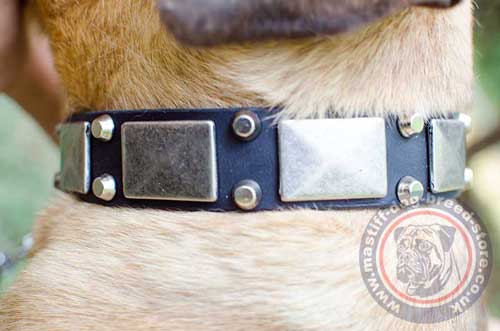 Fashion Dog Collar with Vintage Plates