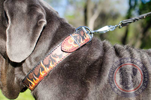 Neapolitan Mastiff Collar