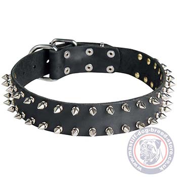 Spiked Leather Dog Collar