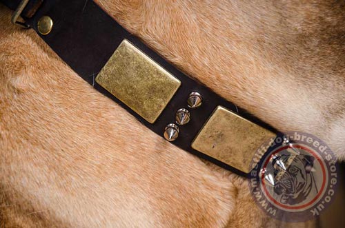 Gladiator Dog Collar
