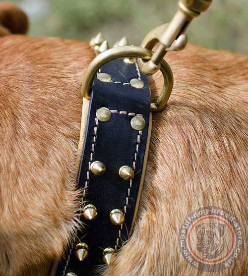 Soft Leather Dog Collar Spiked Design