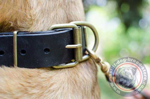 Handmade Dog Collar with Buckle