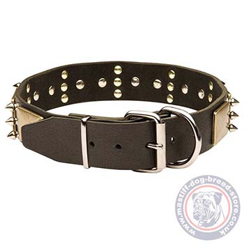 Large Leather Dog Collar