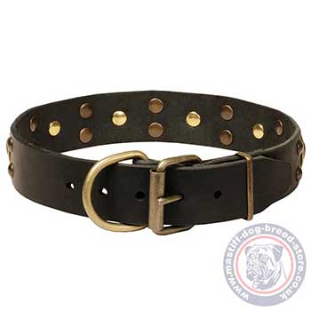 Handmade Dog Collars UK Best Choice