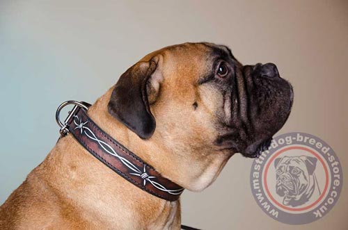 Bullmastiff Collars UK