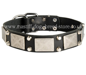 Handmade Leather Collar for Neapolitan Mastiff