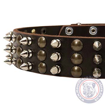 Designer Dog Collar