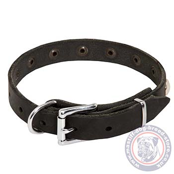 Strong Dog Collars