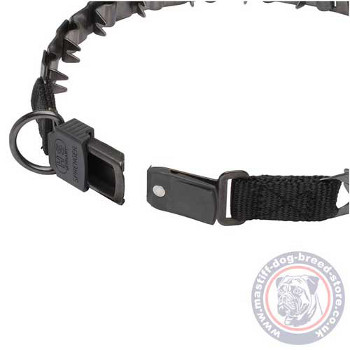 Mastiff Training Extra Large Dog Collar Size