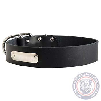 Mastiff Dog Collar with Metal Nameplate